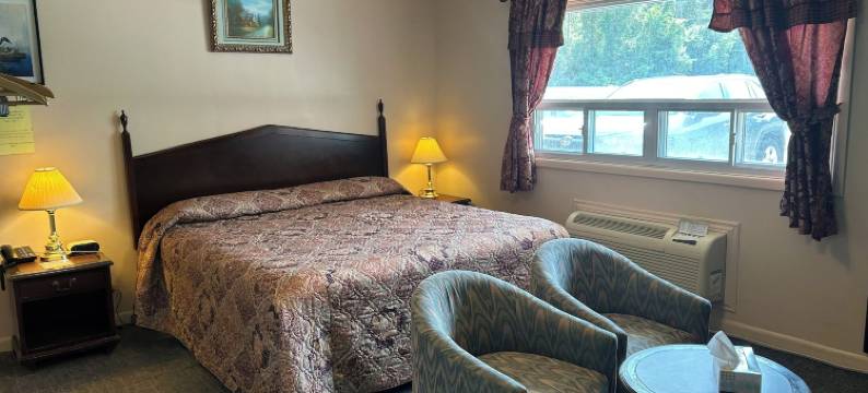 银桦树汽车旅馆(The Silver Birch Motel)图片