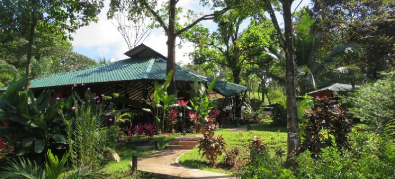 帕玛士绿洲酒店(Oasis de las Palmas)图片