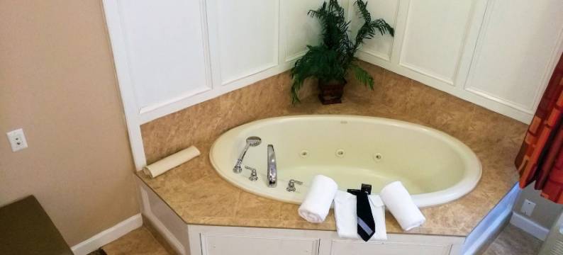 威尔希尔格兰德酒店(The Wilshire Grand Hotel)图片