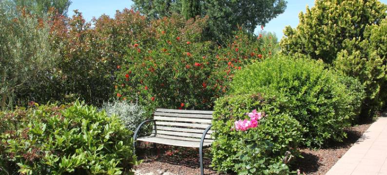 圣路易斯酒店(Hôtel Saint Louis)图片