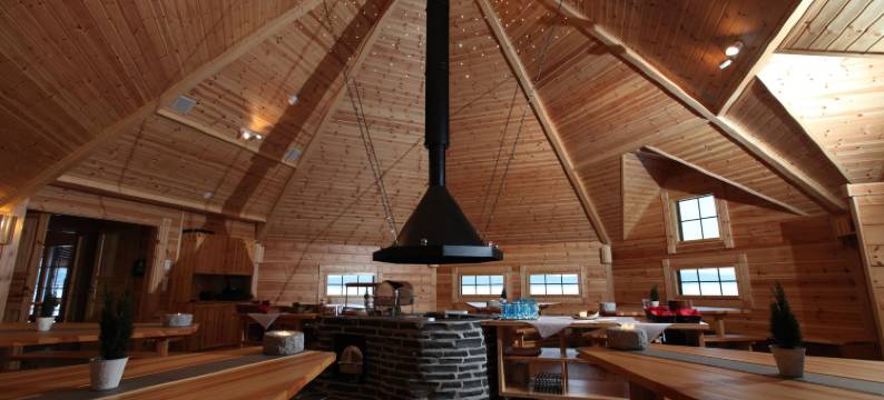 蓬卡哈尔尤哈皮玛格度假村(Hapimag Ferienwohnungen Punkaharju)图片