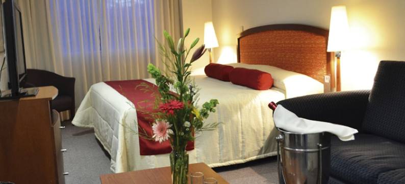 地中海酒店(Hotel Mediterraneo Sa de CV)图片