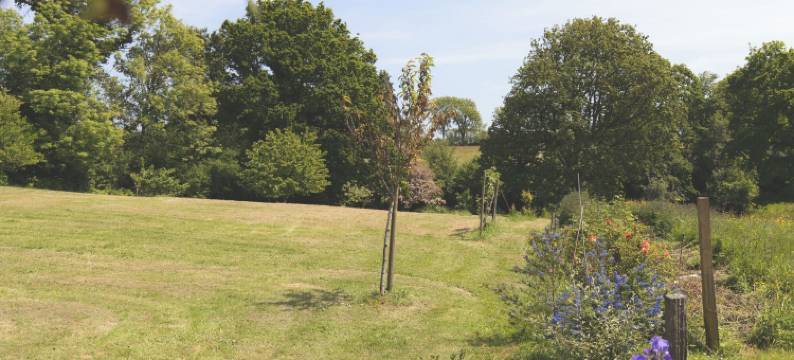 GERBOLD的停留(Escale de Gerbold)图片