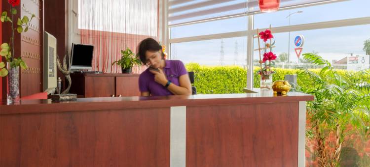 罗阿讷北部赫利欧斯原生酒店(The Originals City Hôtel Hélios Roanne Nord)图片