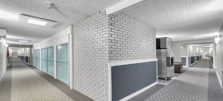 东湖套房(Eastlake Suites Hotel & Conference Center by OYO Urbana)图片