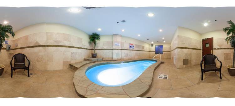 智选假日套房酒店邓肯维尔 by IHG(Holiday Inn Express & Suites Dallas - Duncanville)图片