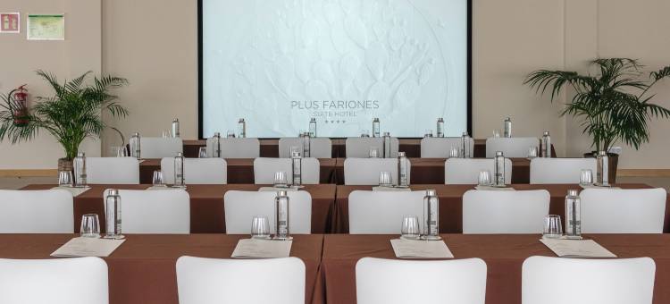 法里奥内斯套房酒店(Plus Fariones Suite Hotel)图片