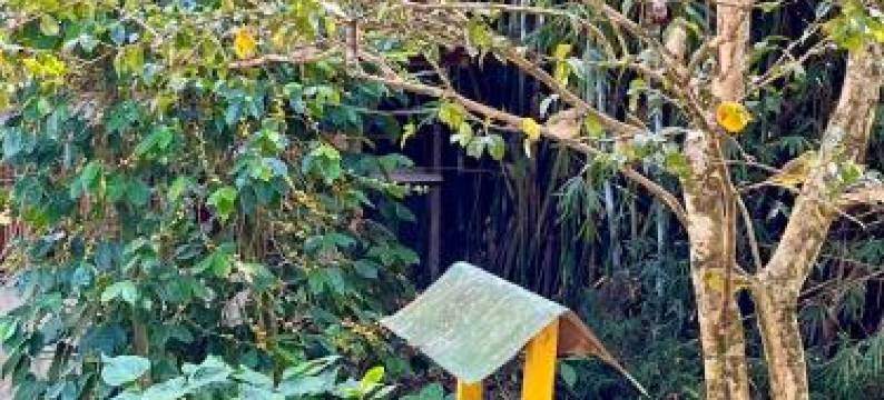 Pousada Murmúrio Das Águas图片