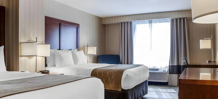 舒适套房酒店(Comfort Inn & Suites Sturbridge-Brimfield)图片