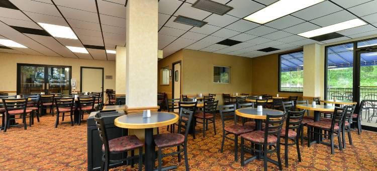 亚历山德里亚西部舒适酒店及套房(Comfort Inn & Suites Alexandria West)图片