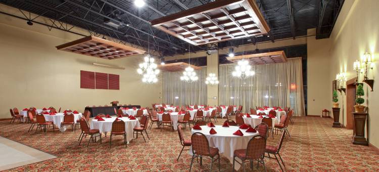 Holiday Inn 布莱斯维尔(Holiday Inn Blytheville)图片