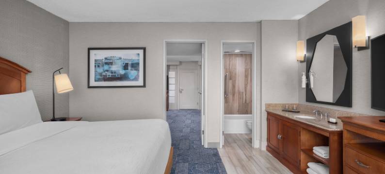 埃尔帕索希尔顿安泊套房酒店(Embassy Suites by Hilton El Paso)图片