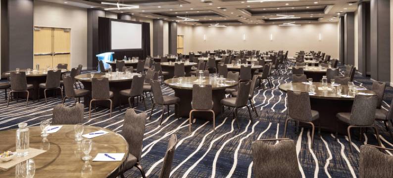 明尼阿波利斯东北德尔塔酒店(Delta Hotels Minneapolis Northeast)图片