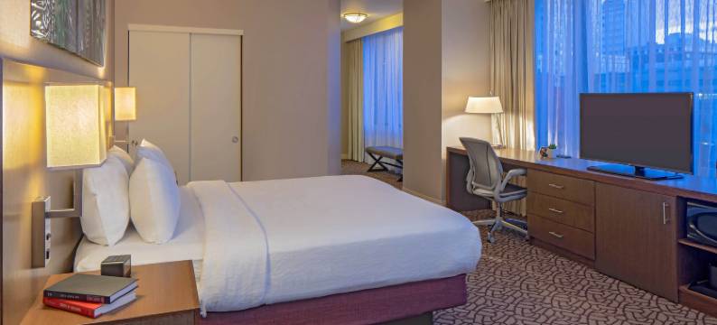 达拉斯市区希尔顿花园酒店(Hilton Garden Inn Downtown Dallas)图片