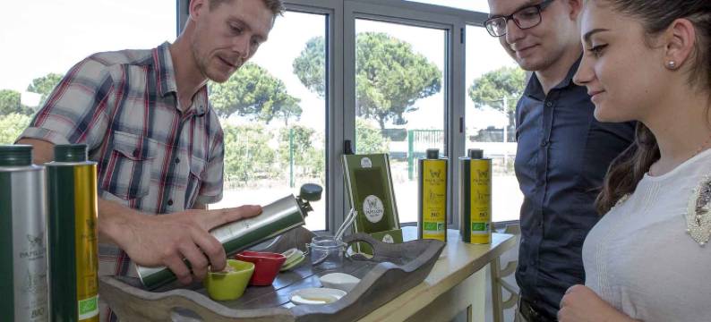 佩皮尼昂里沃萨尔特诺富特酒店(Novotel Perpignan Rivesaltes)图片