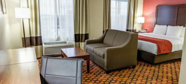 Charlotte Suites by IHG图片