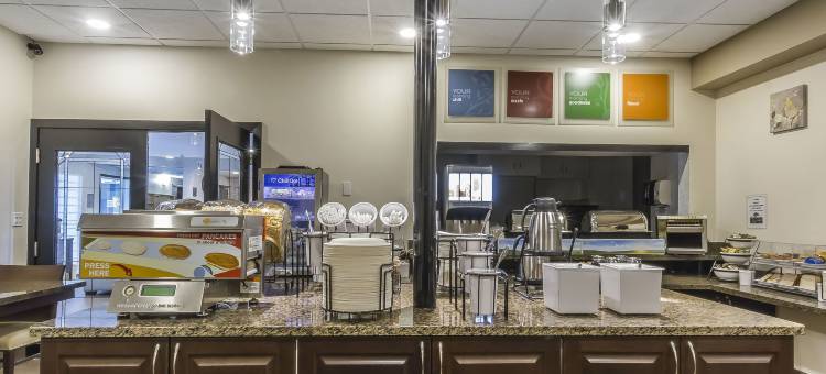 梅迪辛哈特舒适套房酒店(Comfort Inn & Suites)图片