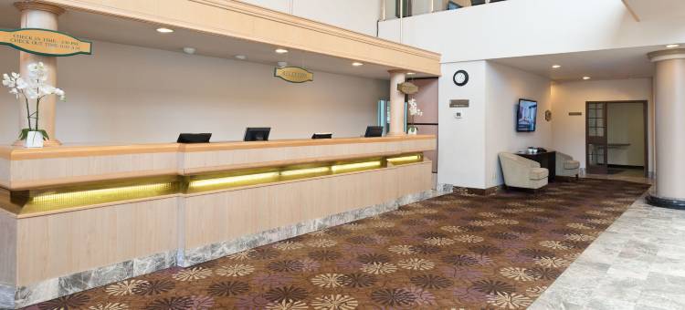 桑德曼标志米西索加酒店(Sandman Signature Mississauga Hotel)图片