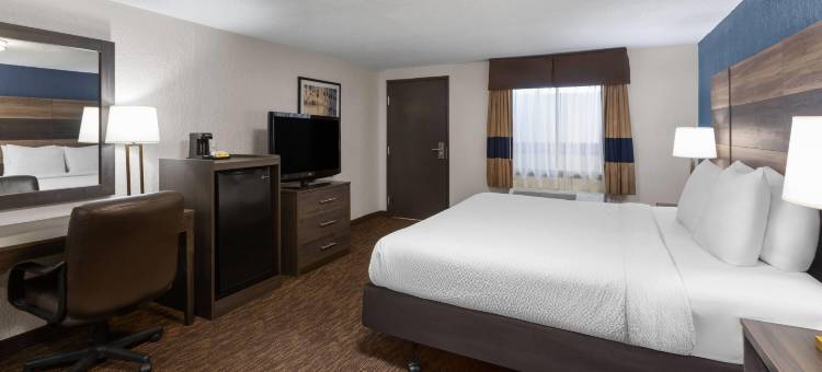 底特律中心呗盟套房酒店(Baymont by Wyndham Downtown Detroit)图片