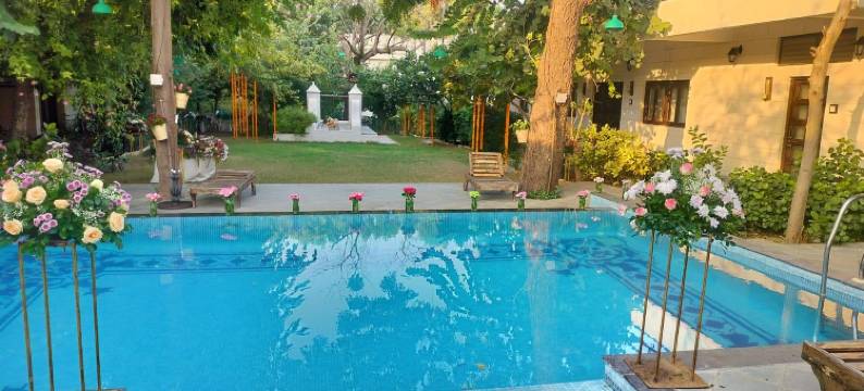 生命之树Darbargadh，Dared(Tree of Life Darbargadh Dared)图片