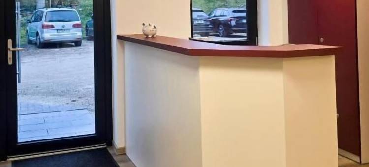 ALEMBRA - zur Moselbrücke酒店(Alembra - Hotel Zur Moselbrücke)图片