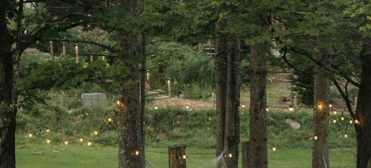东风Oliverea山谷(Eastwind Hotel Oliverea Valley)图片