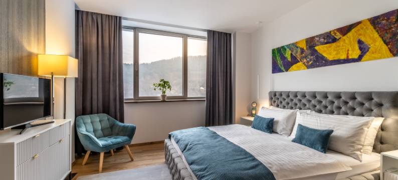 Holiday Inn 日利纳(Holiday Inn ZILINA by IHG)图片