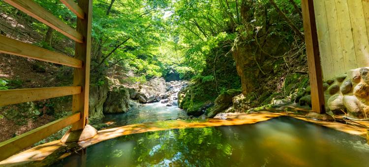 Tabist盐原温泉　柏屋旅馆(Kashiwaya Ryokan)图片