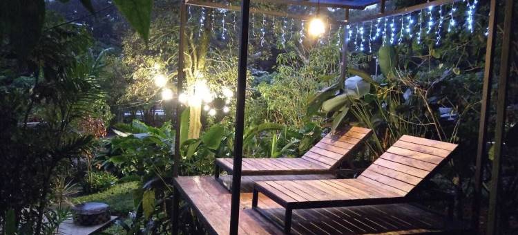 丛林生活树屋(Jungle Living Tree Houses)图片