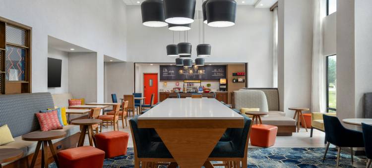 伊普西兰蒂欢朋套房酒店(Hampton Inn & Suites Ypsilanti)图片
