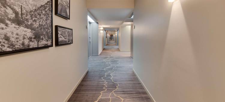 森尼维耳硅谷丽笙酒店(Radisson Hotel Sunnyvale - Silicon Valley)图片