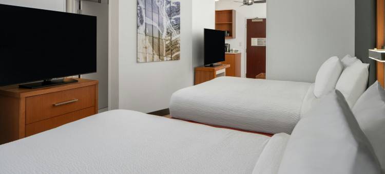 查尔斯顿市中心/河景万豪SpringHill Suites 酒店(SpringHill Suites Charleston Riverview)图片