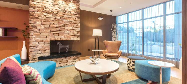 阿什维尔隧道路万枫酒店及套房(Fairfield Inn & Suites Asheville Tunnel Road)图片