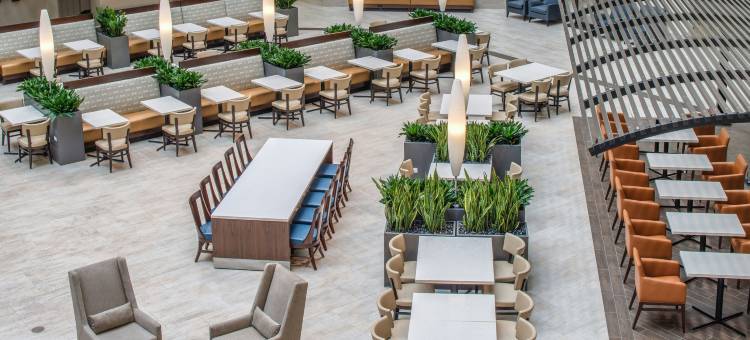 西雅图塔科马国际机场希尔顿安泊酒店(Embassy Suites by Hilton Seattle Tacoma International Airport)图片