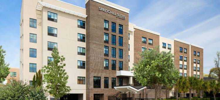 查尔斯顿芒特普莱森特万豪SpringHill Suites酒店(SpringHill Suites Charleston Mount Pleasant)图片