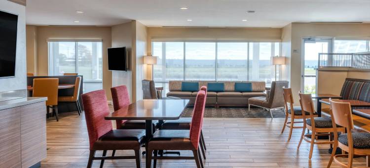 印第安纳波利斯机场TownePlace Suites酒店(TownePlace Suites Indianapolis Airport)图片