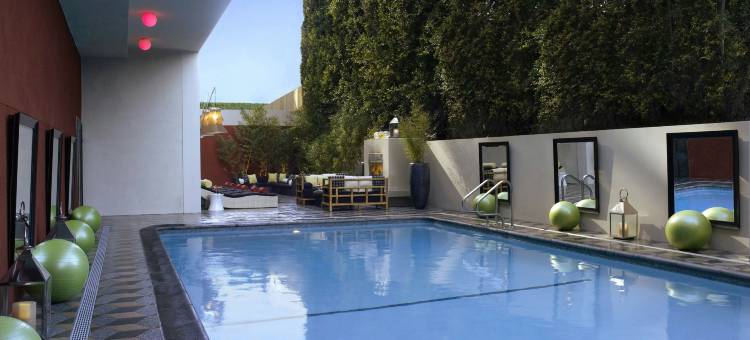 洛杉矶比佛利山庄金普顿帕洛玛酒店(Kimpton HOTEL PALOMAR BEVERLY HILLS by IHG)图片