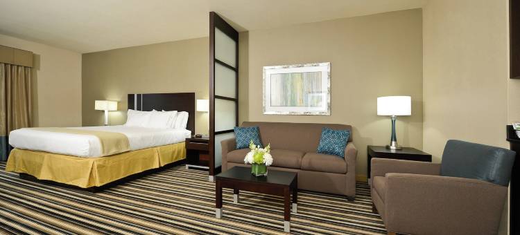 智选假日套房酒店福里斯特城(Holiday Inn Express & Suites FORREST CITY by IHG)图片