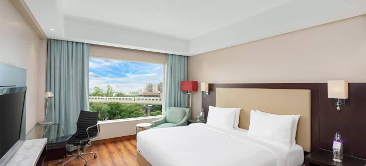 阿格拉丽笙酒店(Radisson Hotel Agra)图片