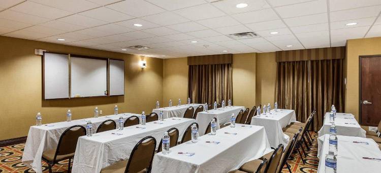 普莱诺-北达拉斯舒适全套房酒店(Comfort Suites Plano - Dallas North)图片