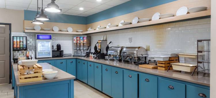 亚特兰大市中心丽怡酒店(Country Inn & Suites by Radisson, Atlanta Downtown)图片