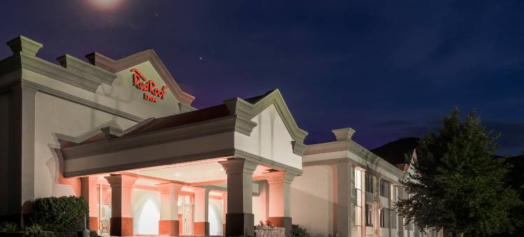 温德姆戴斯酒店-威廉斯波特(Days Inn by Wyndham Williamsport)图片