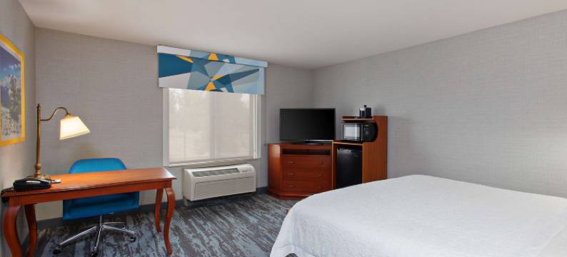 克洛维斯机场北欢朋套房酒店(Hampton Inn & Suites Clovis-Airport North)图片
