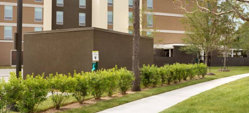 兀兰希尔顿惠庭套房酒店(Home2 Suites by Hilton Shenandoah The Woodlands)图片