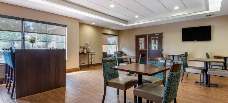 福明顿舒适酒店及套房(Comfort Inn & Suites Farmington - Victor)图片