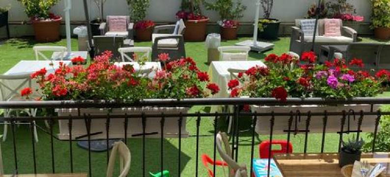 橄榄精品酒店-纳哈里亚(Arroyo Boutique&Business Hotel- by Star Hotels)图片