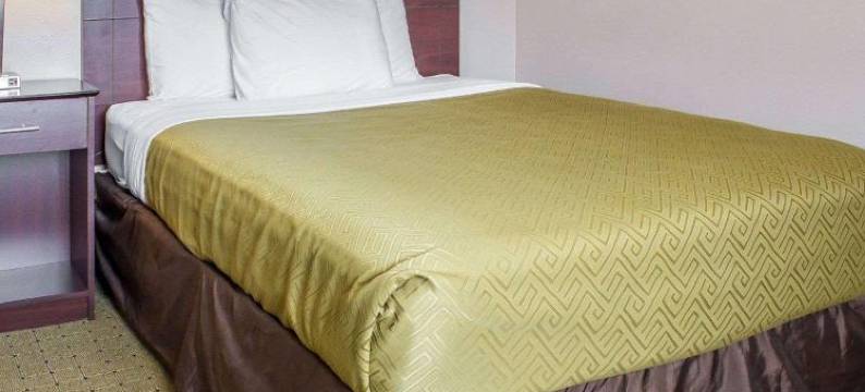 埃姆斯伊克诺旅馆(Econo Lodge)图片