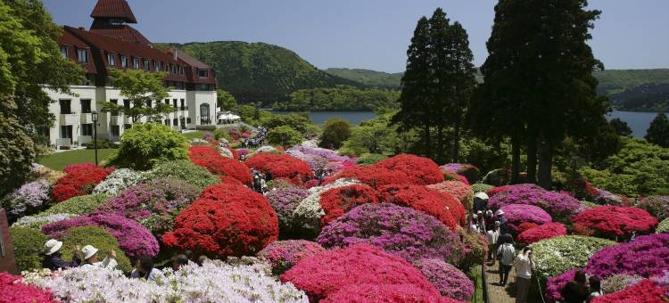 小田急山之酒店(Odakyu Hotel de Yama)图片