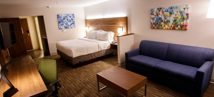 智选假日套房酒店盖茨堡(Holiday Inn Express & Suites Gettysburg)图片