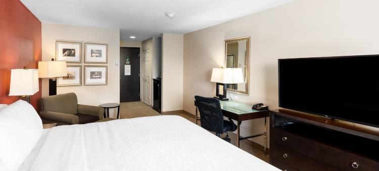 Holiday Inn 寺贝尔顿(Holiday Inn Temple-Belton)图片